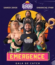 Emergence : gala de catch Le Darcy Comdie Affiche