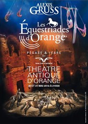 Les Equestriades d'Orange | Pegase & Icare Thtre Antique d'Orange Affiche