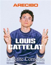 Louis Cattelat dans Arecibo La Comdie de Toulouse Affiche