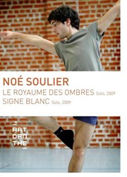 Le royaume des ombres + Signe blanc Thtre de Vanves Affiche