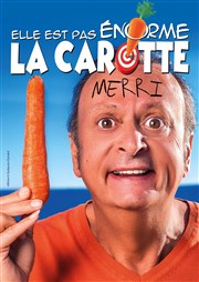 Merri dans Elle est pas énorme la carotte Le Pont de Singe Affiche