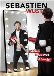 Sébastien Wust dans Maître, vous avez la parole Comdie du Finistre - Les ateliers des Capuins Affiche