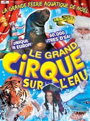 Cirque sur l'eau de Noël | - Le Havre Chapiteau le Cirque sur l'eau  Le Havre Affiche