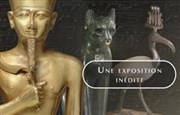 Visite guidée : Le crépuscule des Pharaons | par Gérard Soulier Muse Jacquemart Andr Affiche