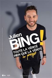 Julien Bing dans Toute la vérité, rien que la vérité, ou presque Kawa Thtre Affiche