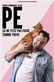 PE dans Ça ne s'est pas passé comme prévu La Compagnie du Caf-Thtre - Petite salle Affiche