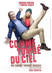 Comme tombé du ciel Jeannette & Loupi Affiche