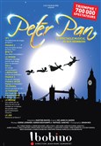 Peter Pan le spectacle musical Bobino Peter Pan le spectacle musical Bobino