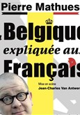 Pierre Mathues dans La Belgique explique aux Franais Le Pont de Singe