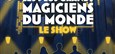 Les Mandrakes, le show