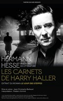 Les Carnets de Harry Haller