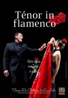 Tnor in flamenco