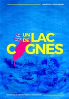 Un Lac de Cygnes