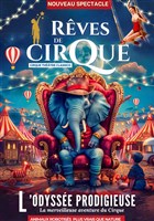 Le Cirque Classico dans Rves de Cirque | Tours