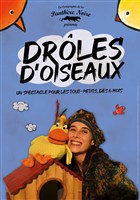 Drles d'oiseaux