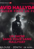 David Hallyday : Requiem pour un fou - Toulouse