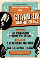 Stand Up Comedy or Not