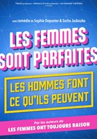 Les Femmes sont parfaites, les hommes font ce qu'ils peuvent